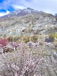 A majestic valley of snow-capped