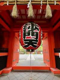 A Gentle Day in Yamashina – Temples, Trails & Tea