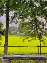 บ้านพักกลางทุ่งนาสีเขียวขจี ใกล้เมืองเชียงใหม่ 💚🌾
