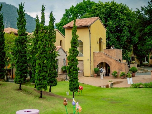 🌲 Primo Piazza วันที่ฝนตก ⛈️