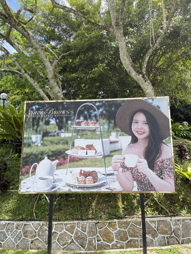 🥨 รีวิวร้าน Afternoon Tea ปีนังมาเลเซีย ✨🌞🫖 