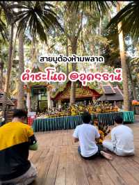 เติมบุญ-เติมพลังที่ 'ป่าคำชะโนด'