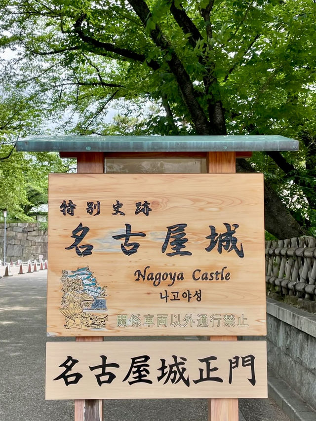 A Relaxing Day in Nagoya – Castles, Shrines & Strolling