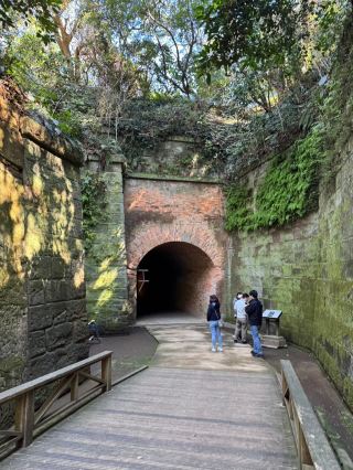 A Hidden Gem Near Tokyo: Sarushima