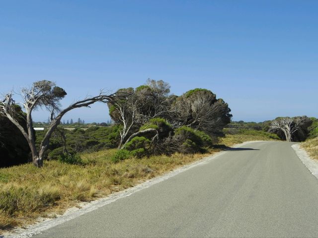 【パース🇦🇺】クオッカに会いに自転車で走り回ろう！