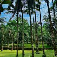 🌿✨ KL’s Green Paradise — Perdana Botanical Gardens