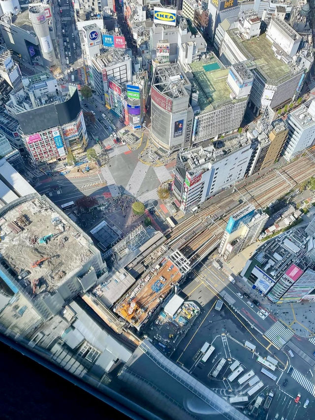 A Relaxed Day Around Shibuya 🏙️🥖