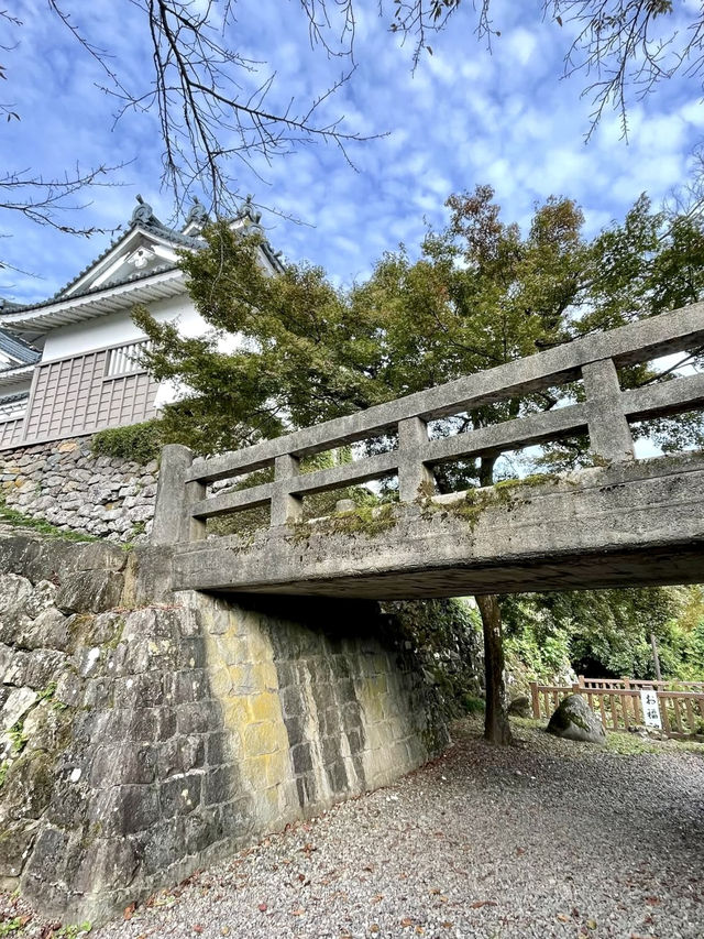 A Peaceful Day in Echizen Ono 🌸🕰️