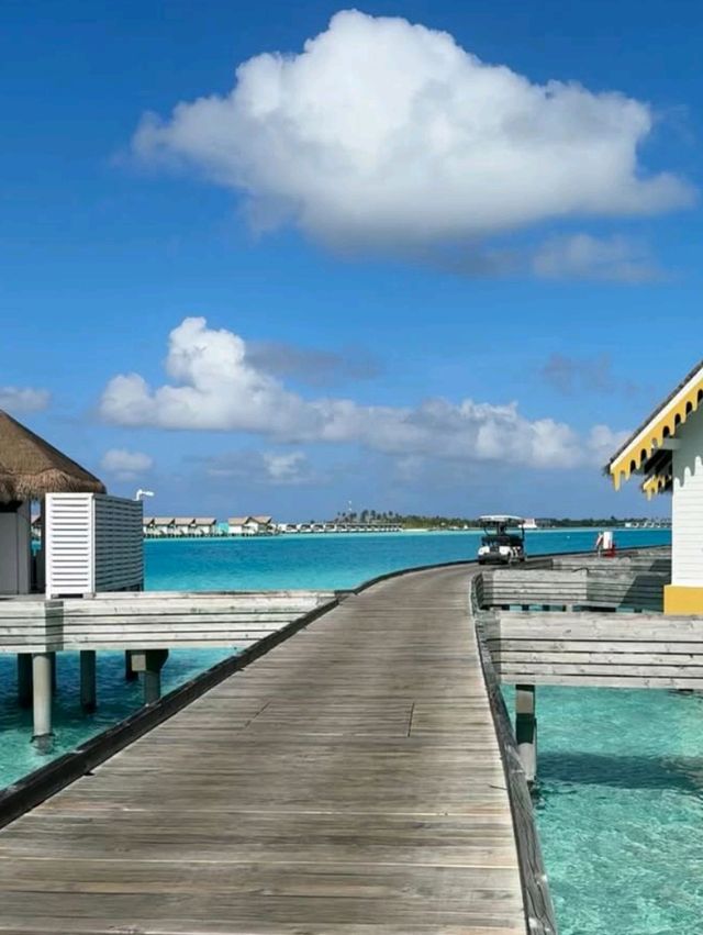 🌴 Stay at Emerald Faarufushi Maldives – A Slice of Paradise! 🏝️