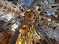 【Basílica de la Sagrada Família｜サグラダ・ファミリア 🇪🇸】 
