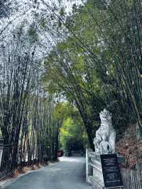 Favorite short hike in chiang mai