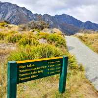 Ice, Ice, Baby! A Cool Adventure at Tasman Glacier Lake