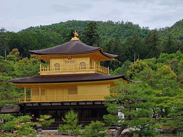 京都 北山鹿苑寺(金閣寺)