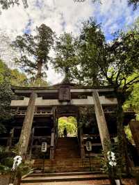 京都｜800年歷史53公尺高大杉木 由岐神社的鎮邪傳說