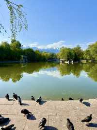 A Nature-Loving Walk in Almaty 🌿🌷