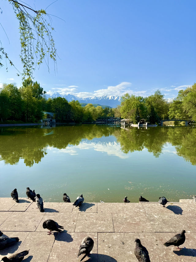 A Nature-Loving Walk in Almaty 🌿🌷