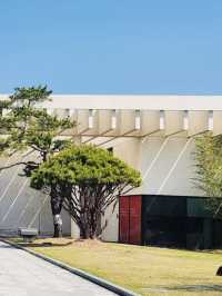 Daejeon Art Cinema: A Great Spot for Shows in Daejeon
