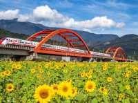 花蓮｜客城鐵橋