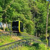 🌿 Incheon Family Fun | Ganghwa Island Adventure 🚡🌸