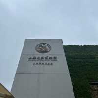 【中国/上海自然博物館】