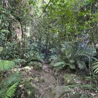 DETAILED EXPERIENCE: SPARTAN TRAIL CEBU
