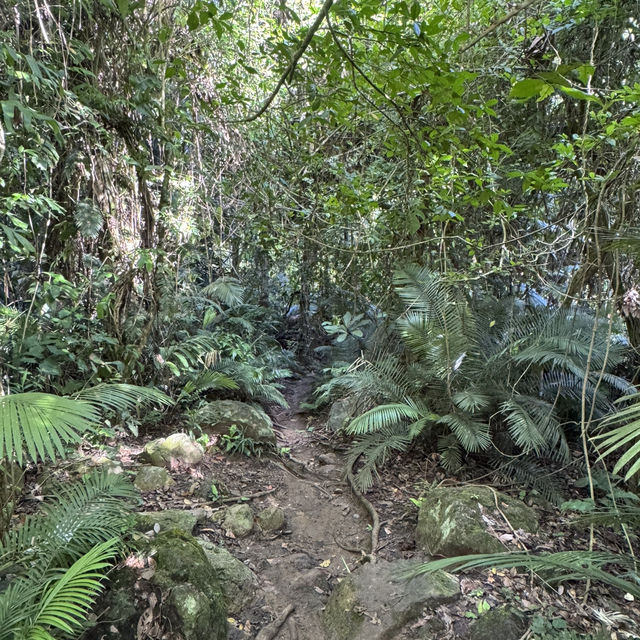 DETAILED EXPERIENCE: SPARTAN TRAIL CEBU
