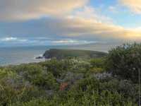 Bruny Island – TAS