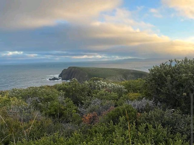 Bruny Island – TAS