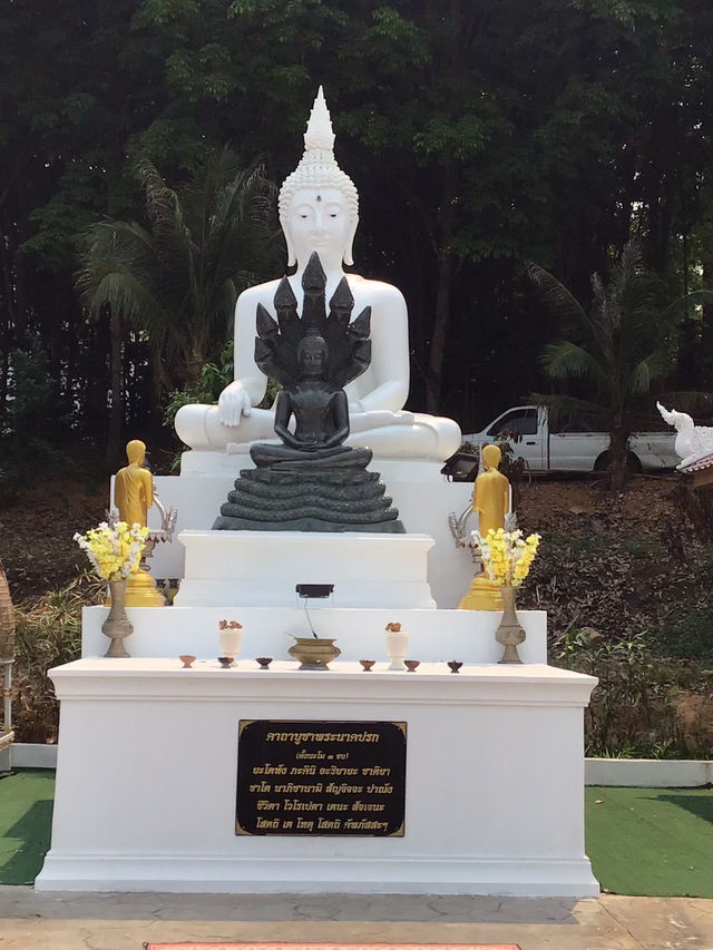 พาไปมู 4 วัด พิกัด เชียงแสน-เชียงของ