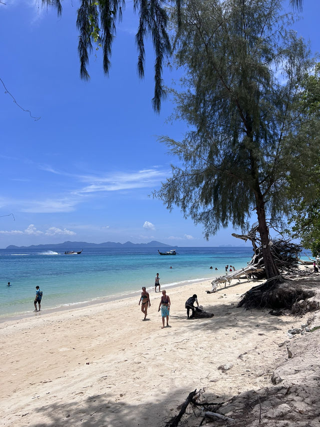 ทริปเกาะกระดาน จ.ตรัง🥳🤩✨