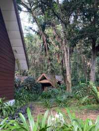 River Breezes & Jungle Vibes: A Weekend in Taman Negara Pahang