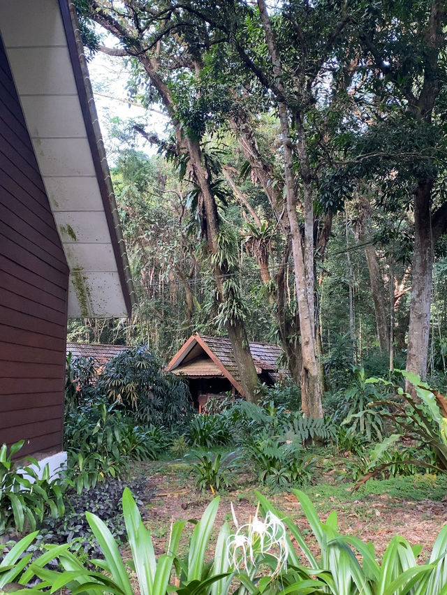 River Breezes & Jungle Vibes: A Weekend in Taman Negara Pahang