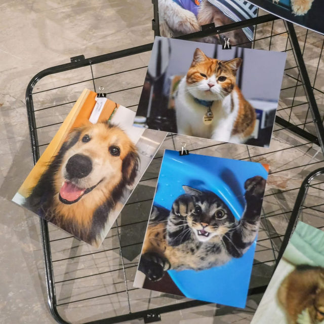 ไปชมภาพน้องๆกันครับ 🐾🐾🧡