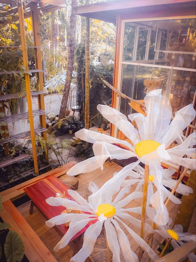 🌿☁️ บ้านไร่ไออรุณ…ระนอง