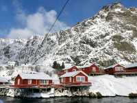 Unforgettable Days in Lofoten Islands