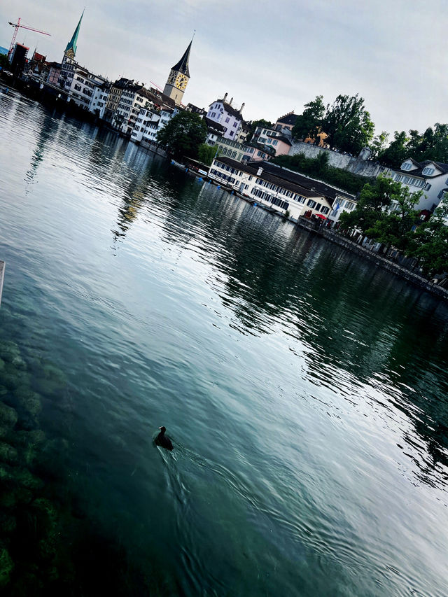 Summer Train Journey: St. Moritz ➝ Zurich – Scenic Swiss Rail Review