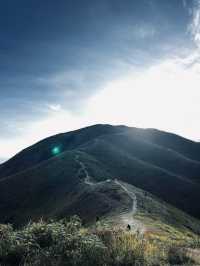 "Wander Medan: Where Every Path Tells a Story"