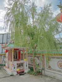 วัดฉื่อฉาง วัดจีนในอำเภอหาดใหญ่ จังหวัดสงขลา