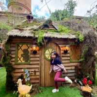 Snow White Magic: A Sydney Icon