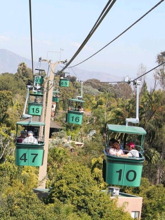 Definitely in the top 3 zoos in the world, is top notch in all aspects