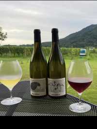 ぶどう畑に包まれて。カーブドッチワイナリーで過ごす優雅な休日🍷