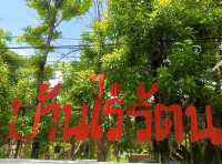 บ้านไร่รัตนคาเฟ่ ban rai rattana cafe 