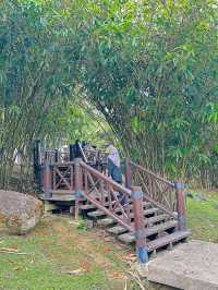 Where Sundays Bloom: A Morning at Taman Wetland Putrajaya