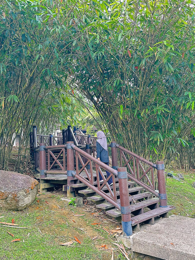 Where Sundays Bloom: A Morning at Taman Wetland Putrajaya
