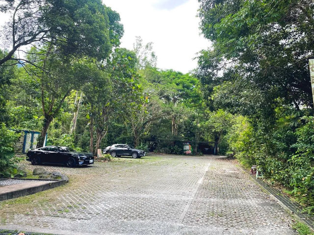 🌿【馬太鞍農園｜走進阿美族的生態智慧，在濕地裡體驗慢生活】