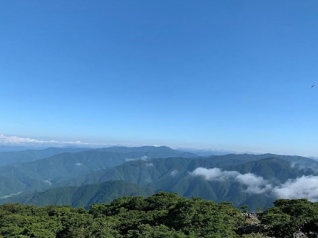 【雲上の絶景ロード】伊吹山ドライブウェイで空に向かう旅