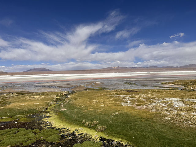 【Laguna Colorada（赤い湖）｜ボリビア・ウユニ高原の赤レンガ色絶景】