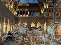 Oxford's Hidden Gem: The Pitt Rivers Museum 🇬🇧✨