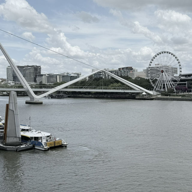 📍Brisbane in a Day: Koalas, Art & River