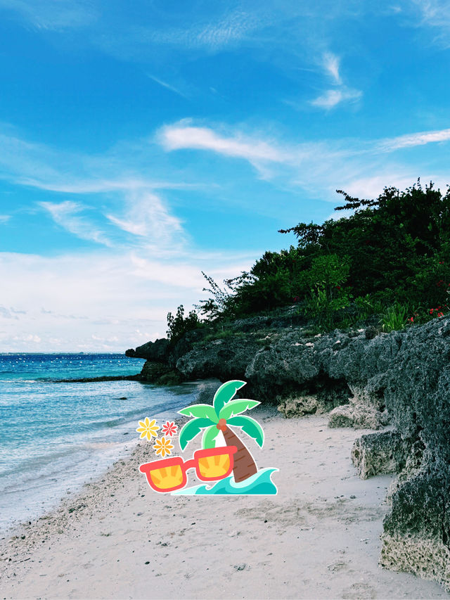 🌺 세부 리조트 하루 여행코스 – 조식부터 마사지, 야시장까지 천국 같은 하루!